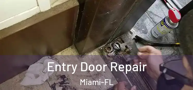  Entry Door Repair Miami-FL